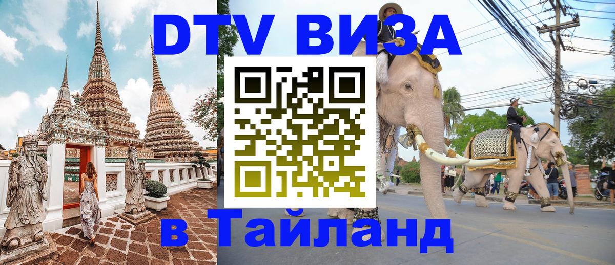 Оформление DTV визы под ключ: стоимость и тарифы, только загранпаспорт - Хабаровск  03.10.2025 